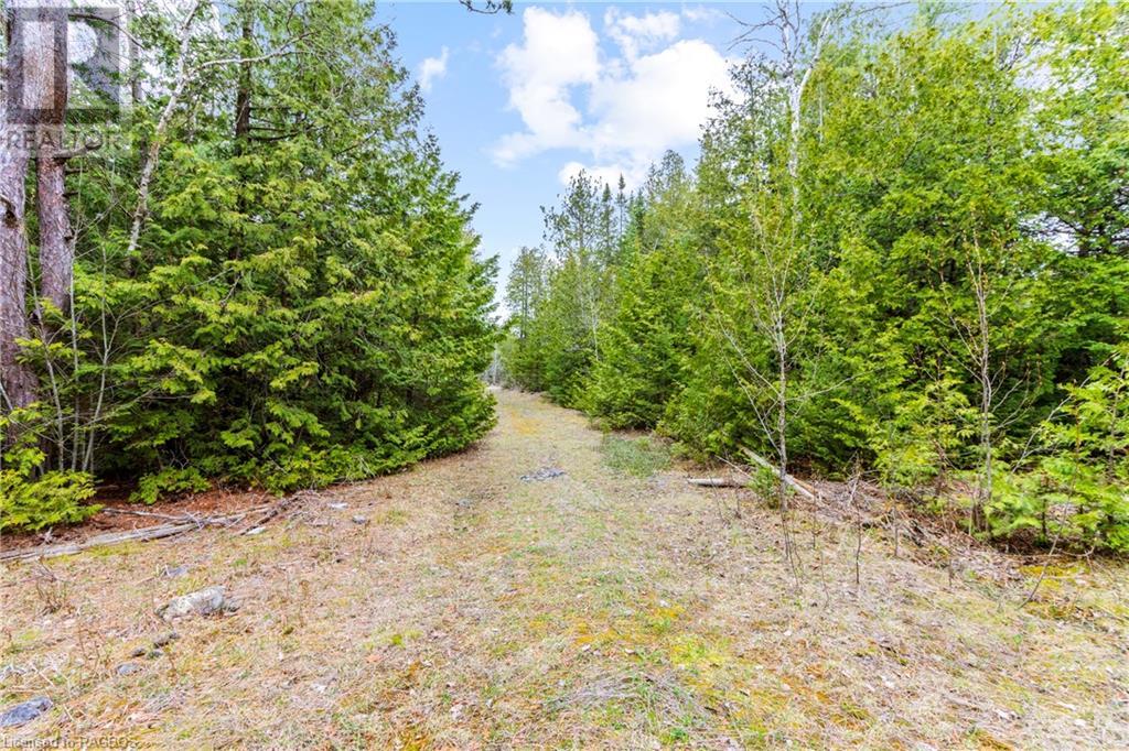 Lot 41 & 42 4 Concession, Northern Bruce Peninsula, Ontario  N0H 1Z0 - Photo 12 - 40537828