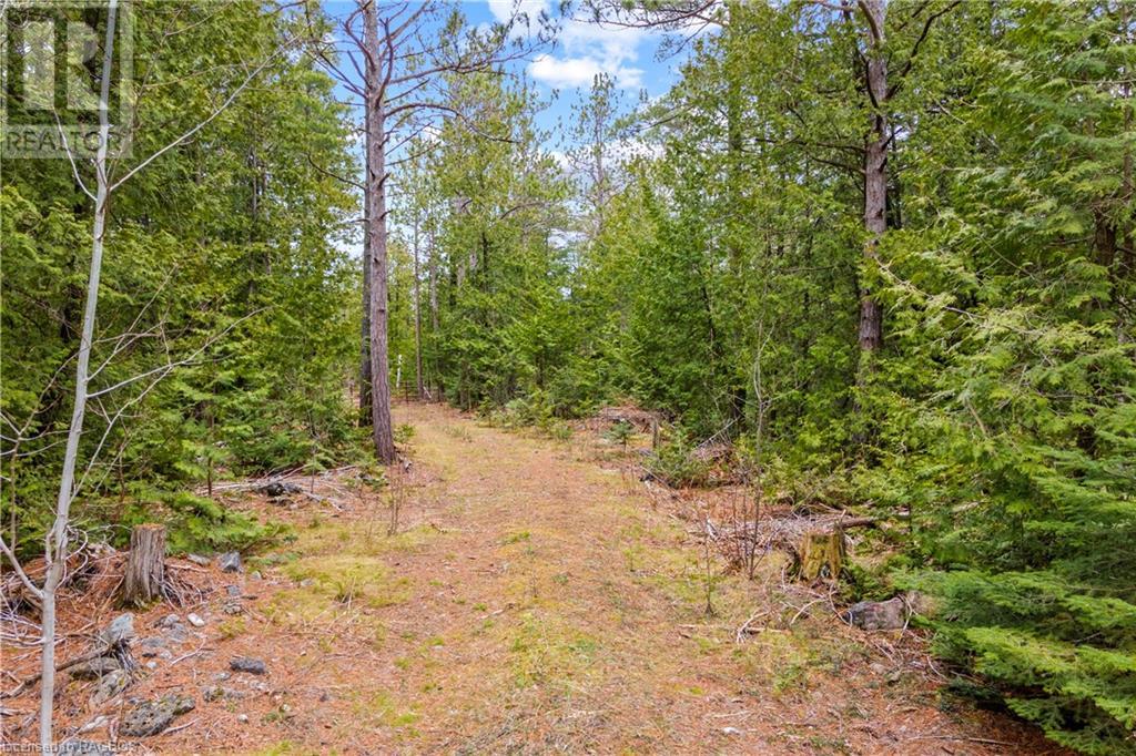 Lot 41 & 42 4 Concession, Northern Bruce Peninsula, Ontario  N0H 1Z0 - Photo 13 - 40537828