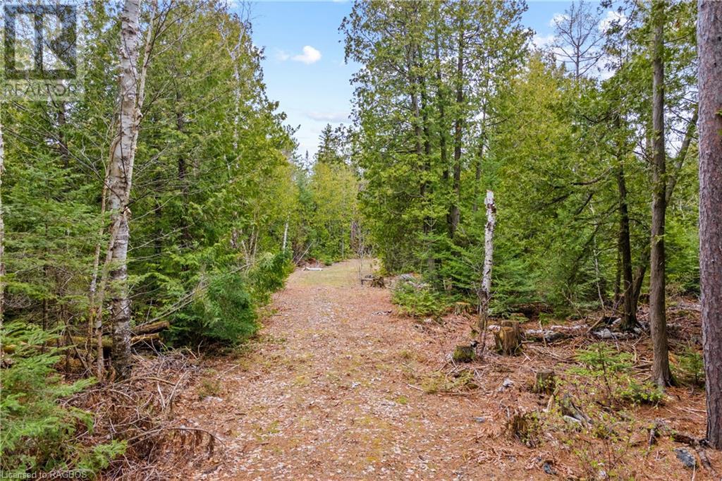 Lot 41 & 42 4 Concession, Northern Bruce Peninsula, Ontario  N0H 1Z0 - Photo 14 - 40537828