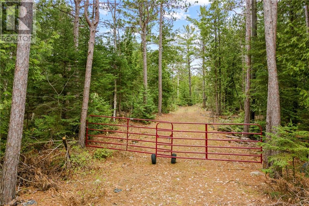 Lot 41 & 42 4 Concession, Northern Bruce Peninsula, Ontario  N0H 1Z0 - Photo 15 - 40537828
