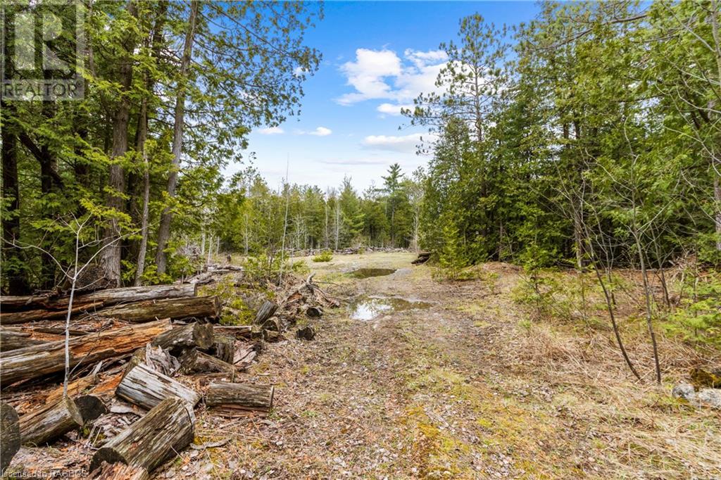 Lot 41 & 42 4 Concession, Northern Bruce Peninsula, Ontario  N0H 1Z0 - Photo 16 - 40537828