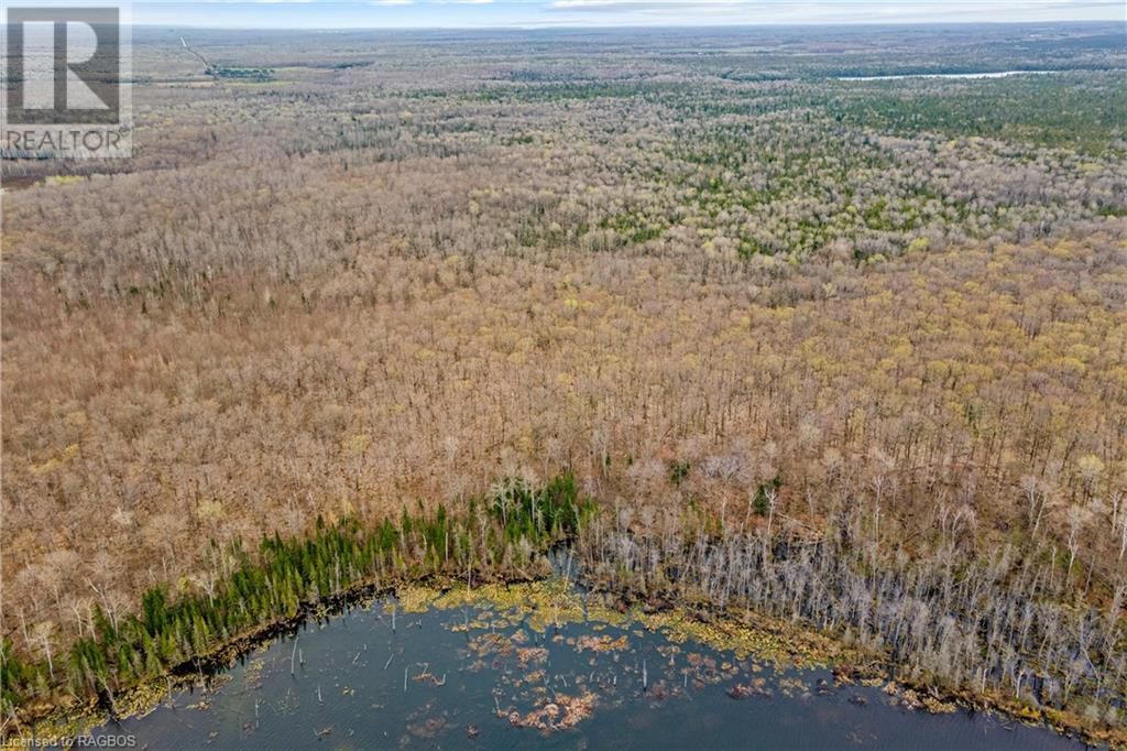 Lot 41 & 42 4 Concession, Northern Bruce Peninsula, Ontario  N0H 1Z0 - Photo 2 - 40537828