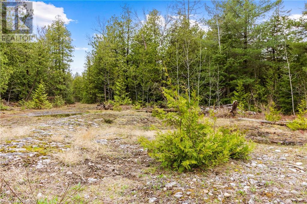 Lot 41 & 42 4 Concession, Northern Bruce Peninsula, Ontario  N0H 1Z0 - Photo 22 - 40537828