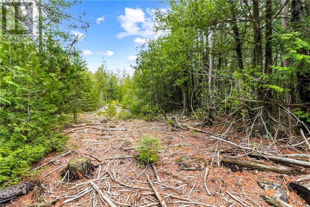 Lot 41 & 42 4 Concession, Northern Bruce Peninsula, Ontario  N0H 1Z0 - Photo 24 - 40537828