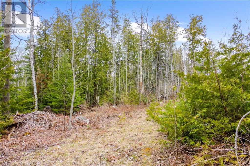 Lot 41 & 42 4 Concession, Northern Bruce Peninsula, Ontario  N0H 1Z0 - Photo 31 - 40537828