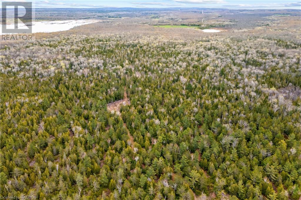 Lot 41 & 42 4 Concession, Northern Bruce Peninsula, Ontario  N0H 1Z0 - Photo 33 - 40537828