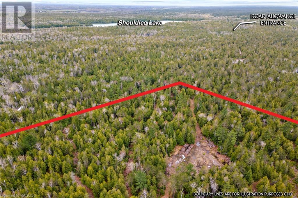Lot 41 & 42 4 Concession, Northern Bruce Peninsula, Ontario  N0H 1Z0 - Photo 36 - 40537828