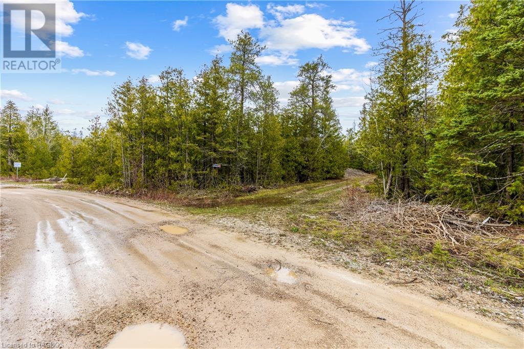 Lot 41 & 42 4 Concession, Northern Bruce Peninsula, Ontario  N0H 1Z0 - Photo 7 - 40537828
