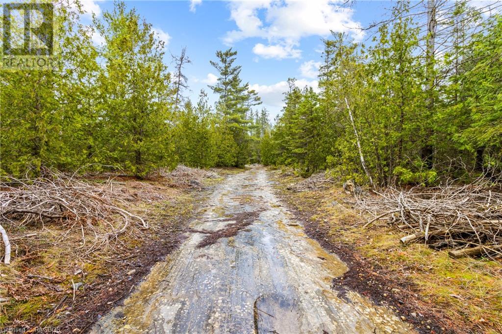 Lot 41 & 42 4 Concession, Northern Bruce Peninsula, Ontario  N0H 1Z0 - Photo 8 - 40537828