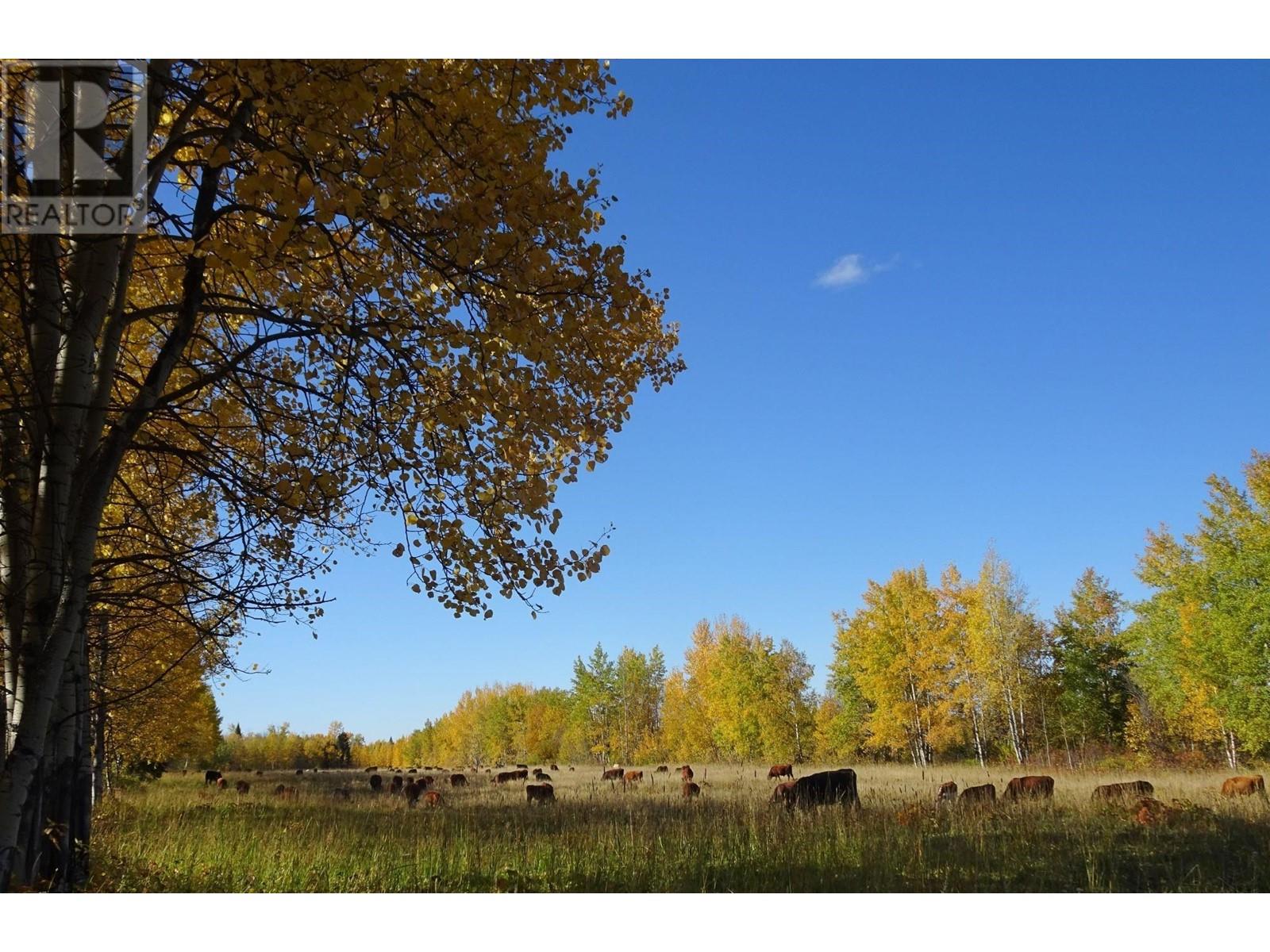 Lorem Ipsum Dol, Horsefly, British Columbia  V0L  - Photo 9 - DEMO26455594