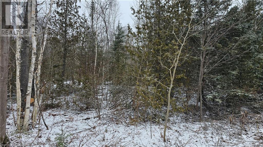 0 Miller Lake Road, Miller Lake, Ontario  N0H 1Z0 - Photo 18 - 40540654