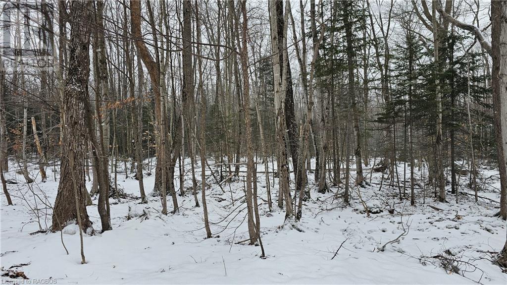 0 Miller Lake Road, Miller Lake, Ontario  N0H 1Z0 - Photo 2 - 40540654