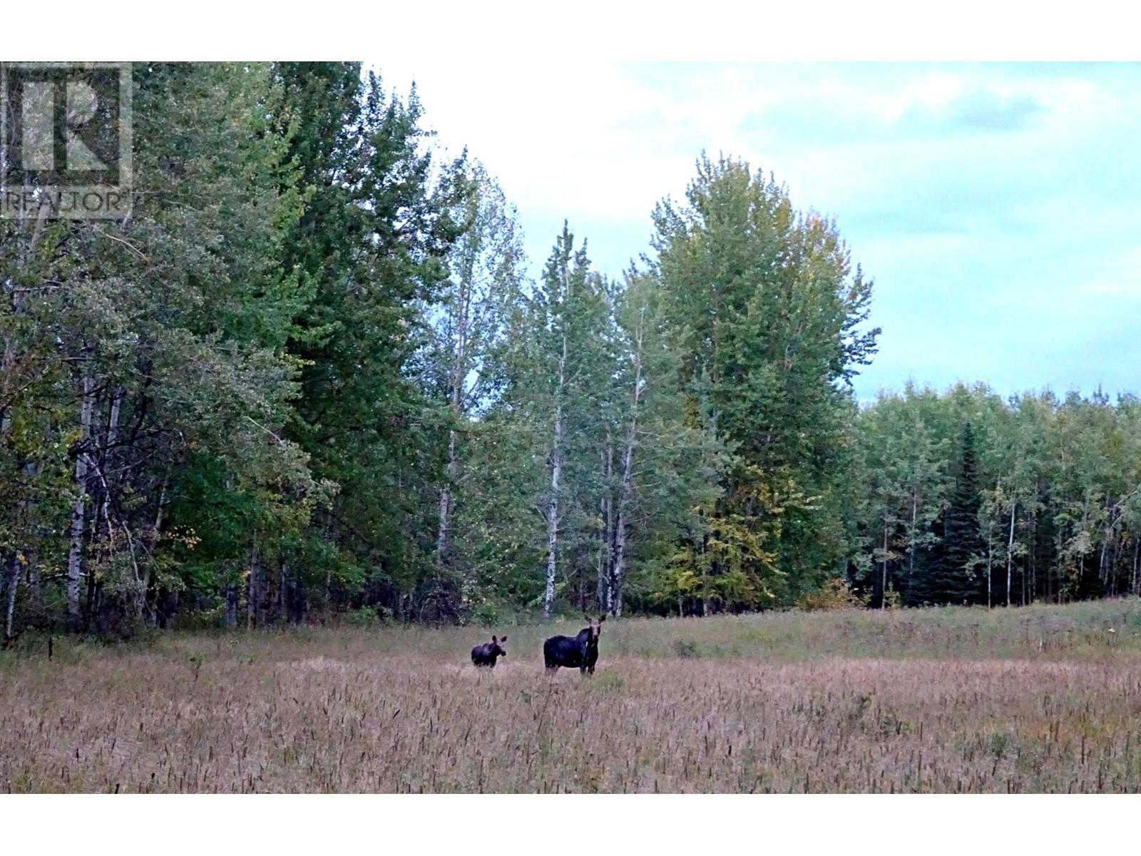 Dl5277 Day Road, Horsefly, British Columbia V0L 1L0 - Photo 18 - C8057102