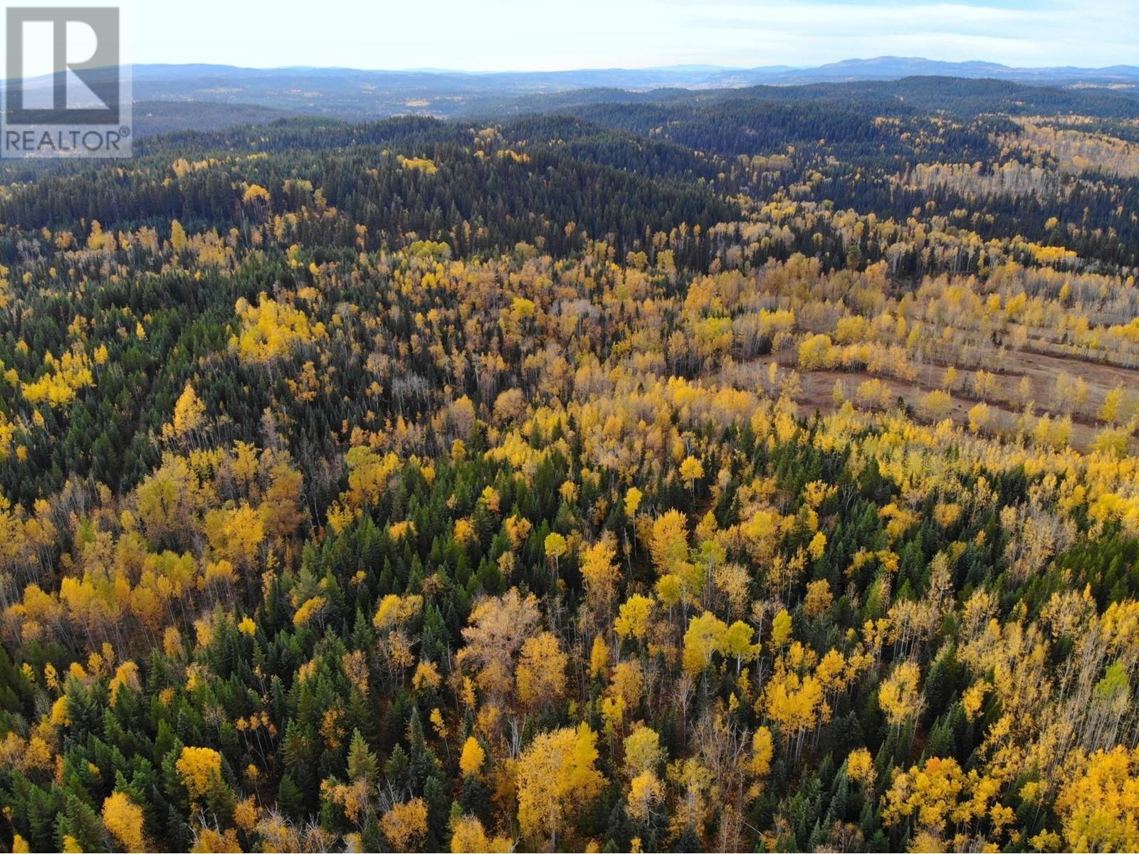 Dl5277 Day Road, Horsefly, British Columbia V0L 1L0 - Photo 8 - C8057102