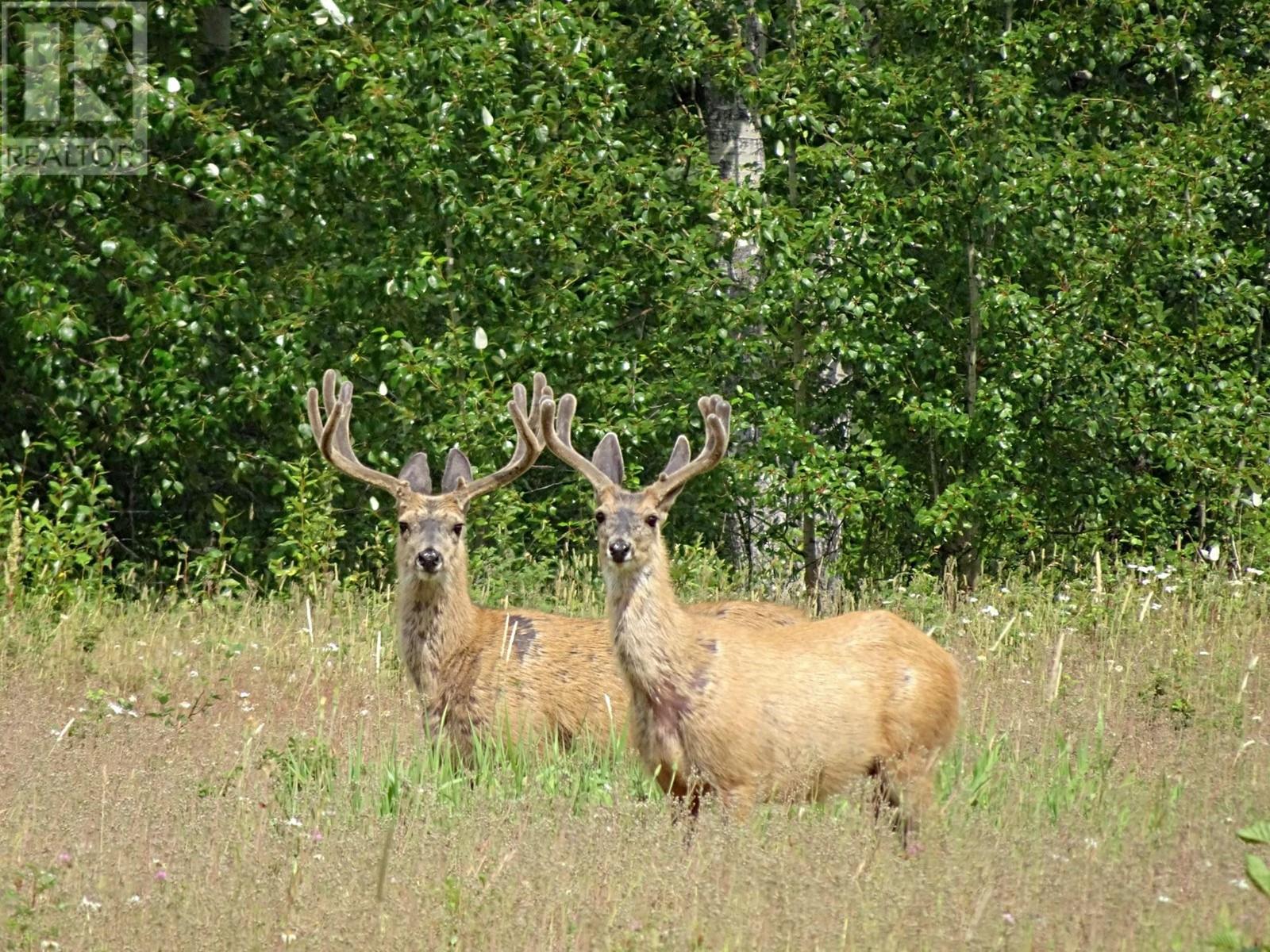 Dl5277 Day Road, Horsefly, British Columbia V0L 1L0 - Photo 17 - C8057102