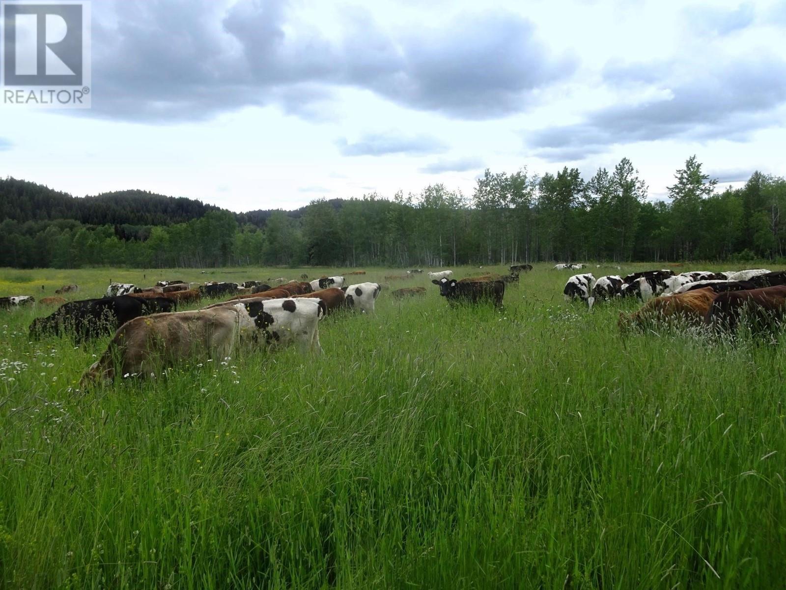 Dl5277 Day Road, Horsefly, British Columbia V0L 1L0 - Photo 19 - C8057102