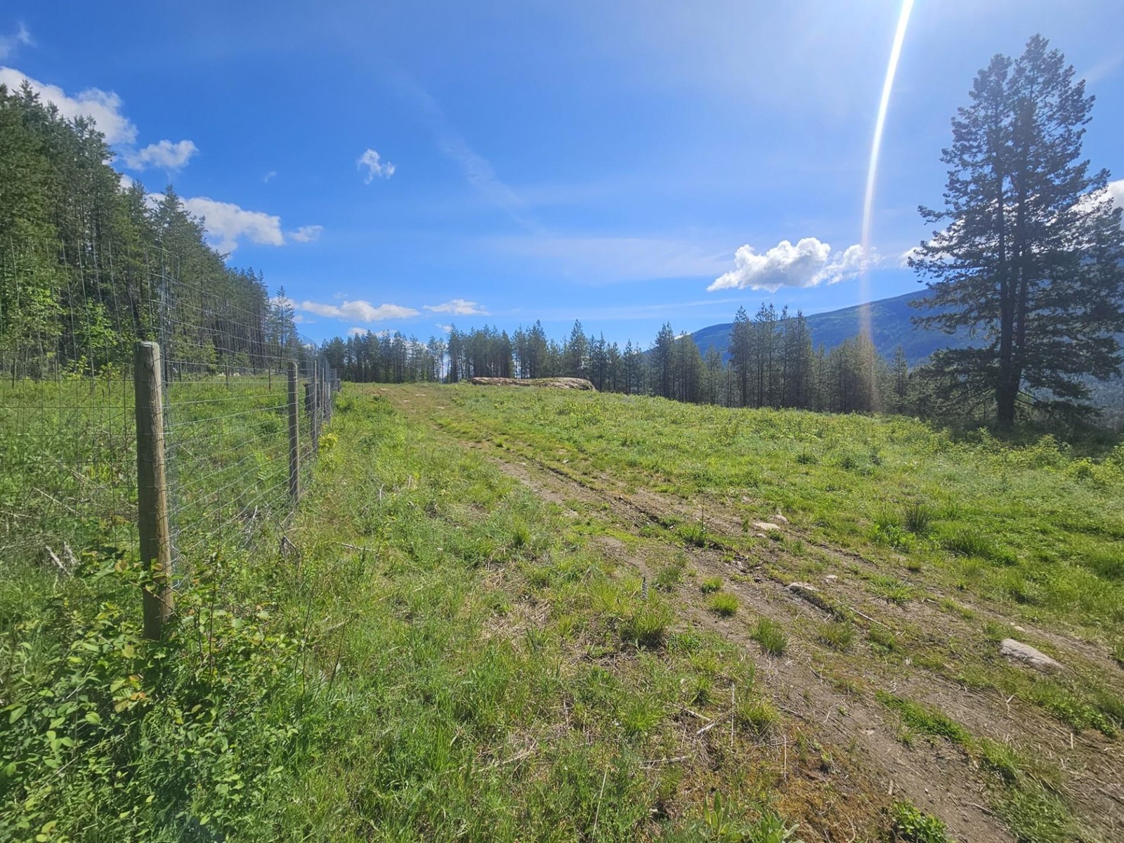 165 Suncrest Road, Pass Creek, British Columbia  V1N 4T5 - Photo 2 - 2474935
