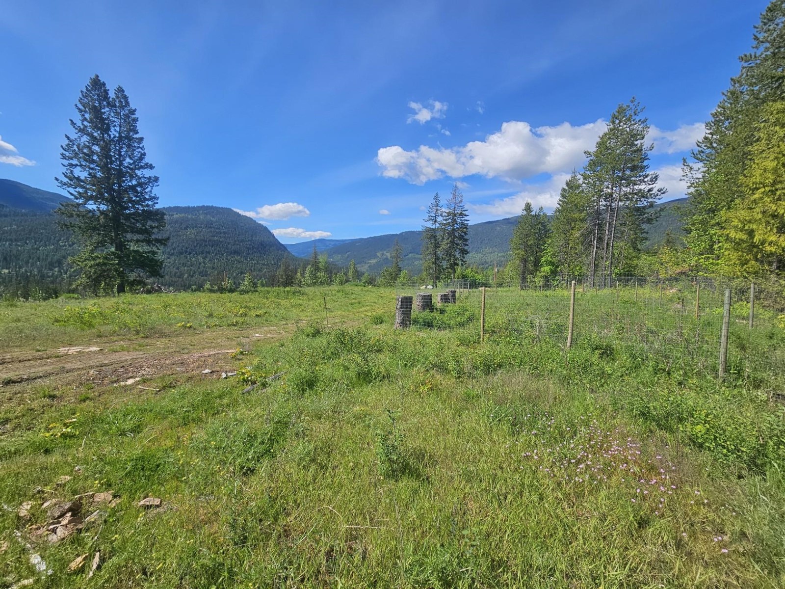 165 Suncrest Road, Pass Creek, British Columbia  V1N 4T5 - Photo 3 - 2474935