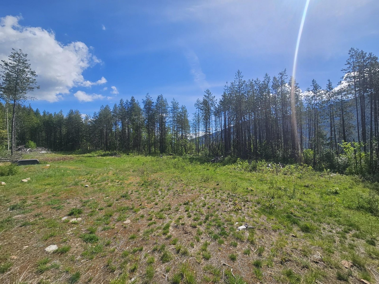 165 Suncrest Road, Pass Creek, British Columbia  V1N 4T5 - Photo 6 - 2474935