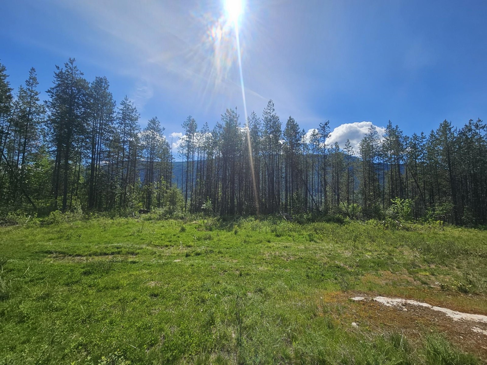 165 Suncrest Road, Pass Creek, British Columbia  V1N 4T5 - Photo 9 - 2474935