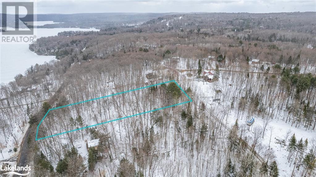 1071 Chalet Road, Haliburton, Ontario  K0M 1S0 - Photo 9 - 40540663