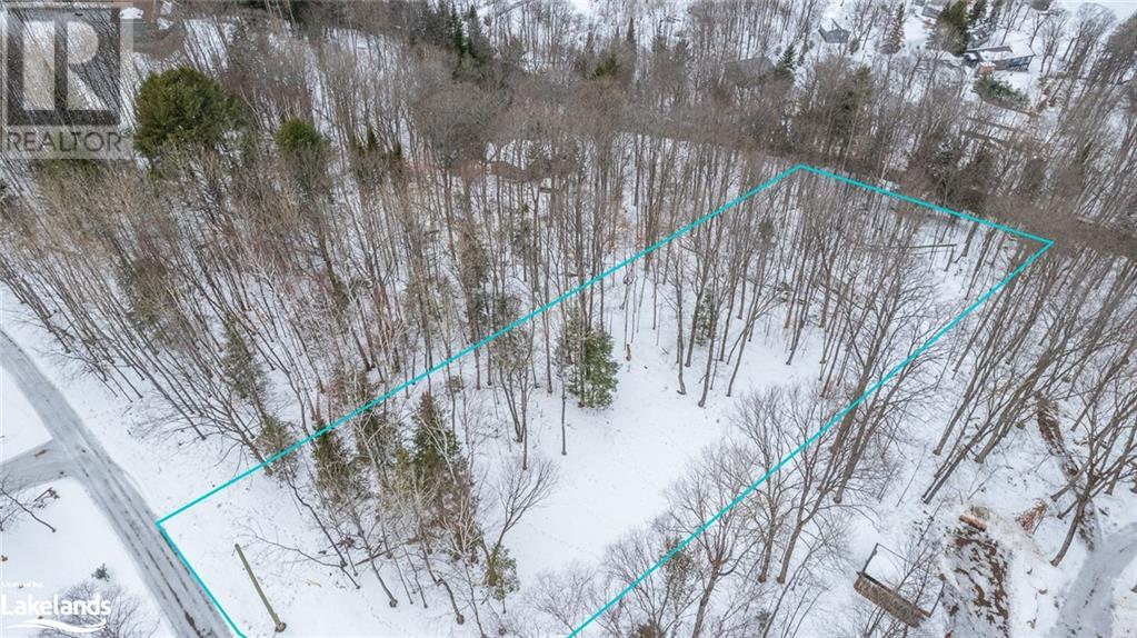 1071 Chalet Road, Haliburton, Ontario  K0M 1S0 - Photo 2 - 40540663