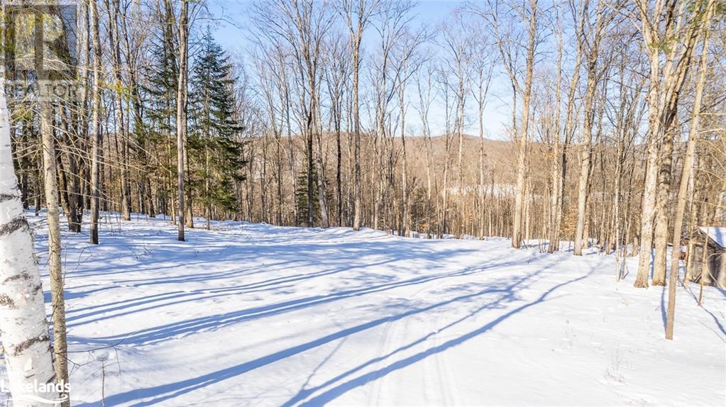 1071 Chalet Road, Haliburton, Ontario  K0M 1S0 - Photo 4 - 40540663