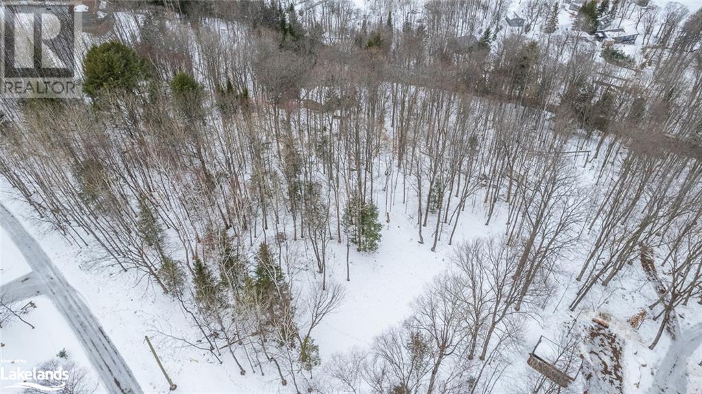 1071 Chalet Road, Haliburton, Ontario  K0M 1S0 - Photo 7 - 40540663