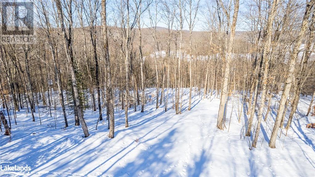 1071 Chalet Road, Haliburton, Ontario  K0M 1S0 - Photo 3 - 40540663