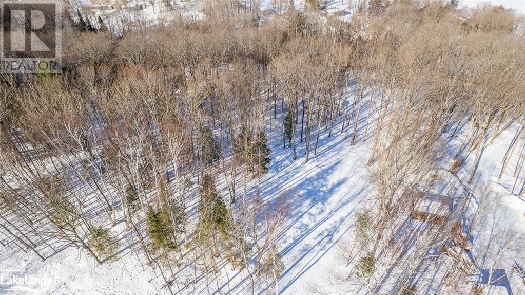 1071 Chalet Road, Haliburton, Ontario  K0M 1S0 - Photo 8 - 40540663