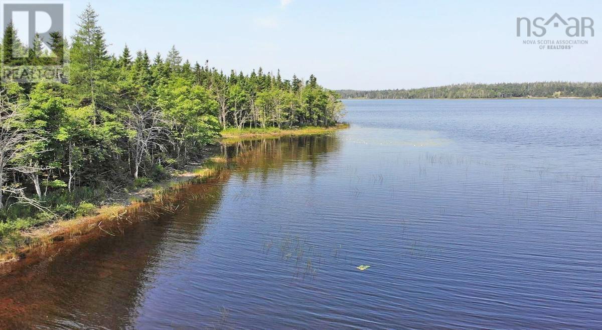 Middle Road, Pondville, Nova Scotia  B0E 1K0 - Photo 11 - 202402690