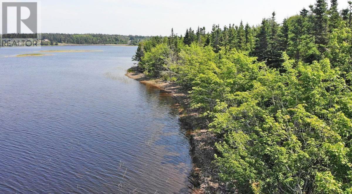Middle Road, Pondville, Nova Scotia  B0E 1K0 - Photo 12 - 202402690