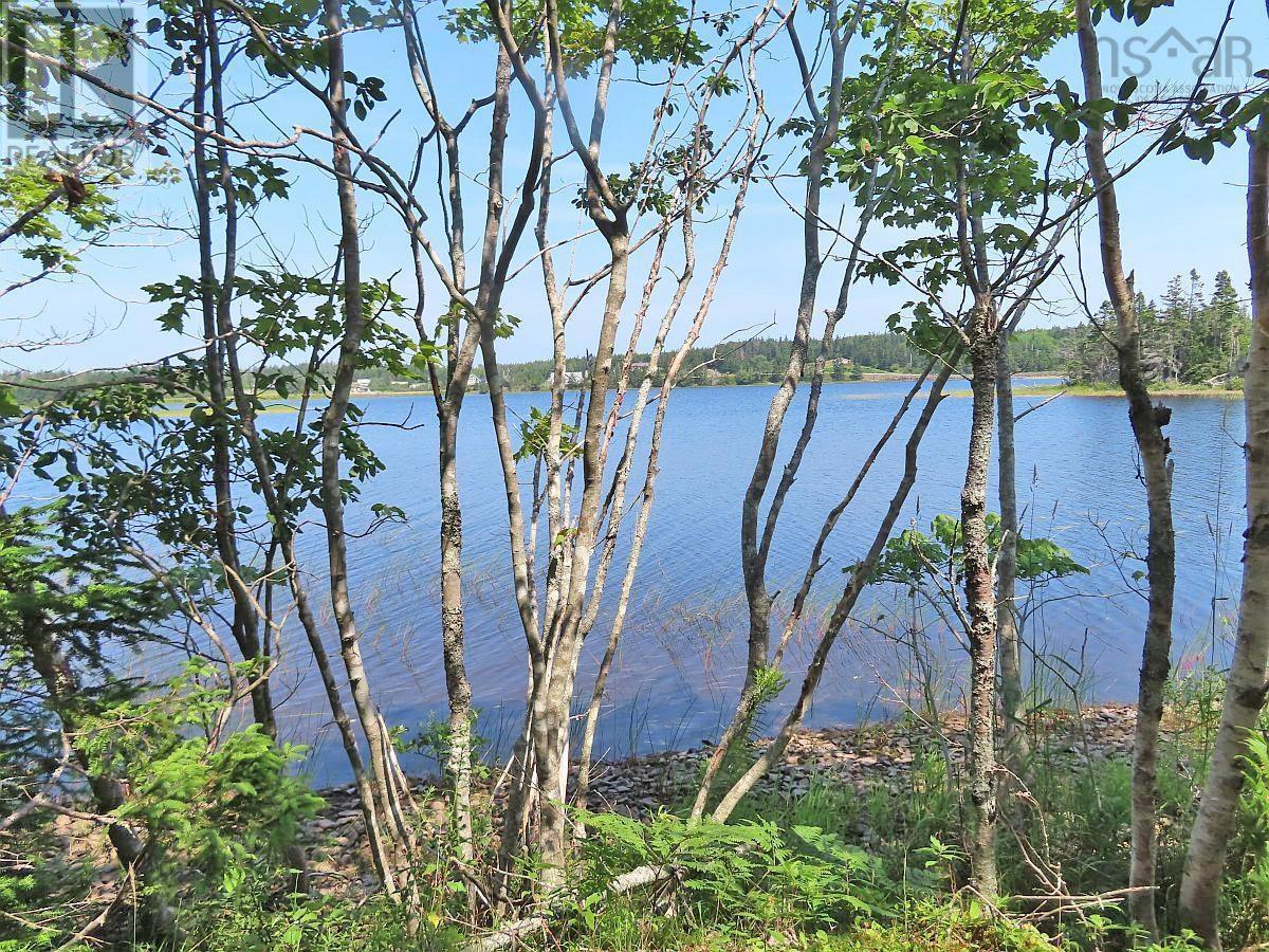 Middle Road, Pondville, Nova Scotia  B0E 1K0 - Photo 17 - 202402690