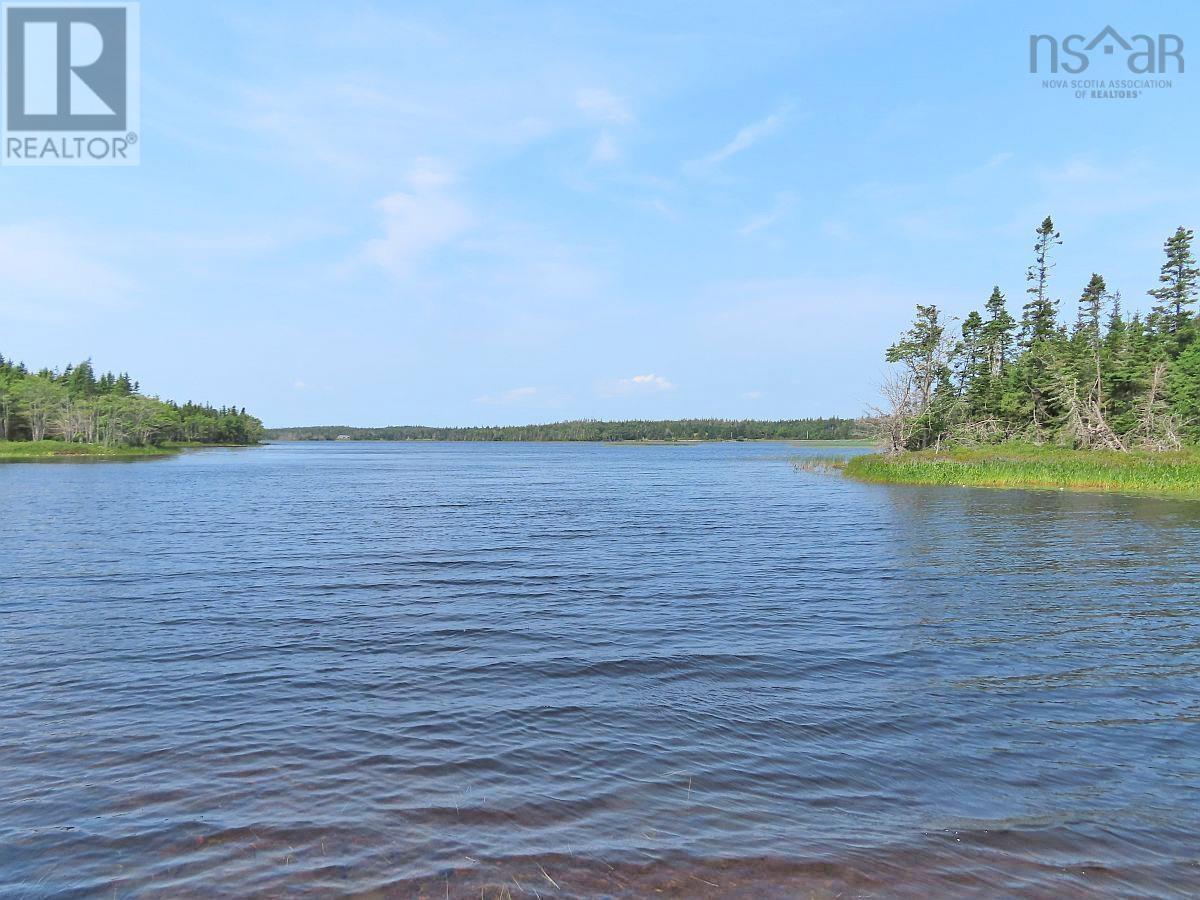 Middle Road, Pondville, Nova Scotia  B0E 1K0 - Photo 19 - 202402690