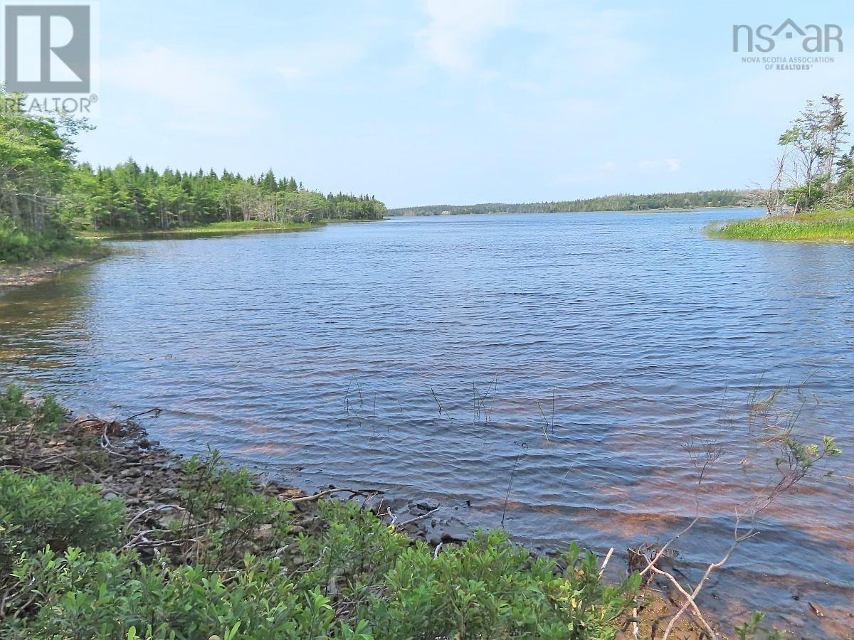 Middle Road, Pondville, Nova Scotia  B0E 1K0 - Photo 21 - 202402690