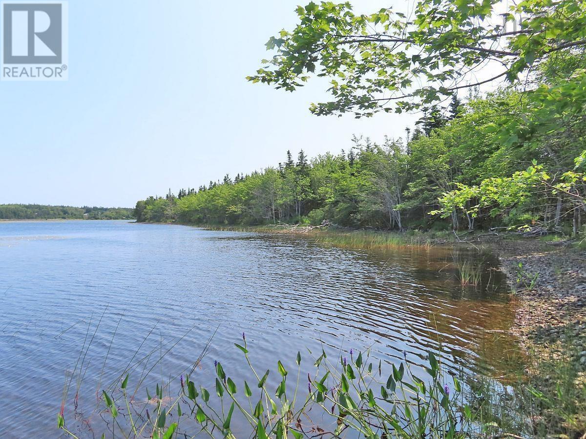 Middle Road, Pondville, Nova Scotia  B0E 1K0 - Photo 24 - 202402690