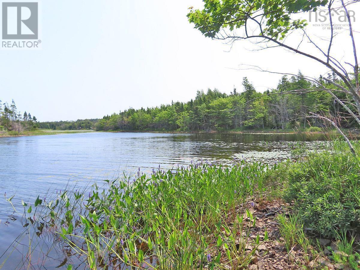Middle Road, Pondville, Nova Scotia  B0E 1K0 - Photo 27 - 202402690
