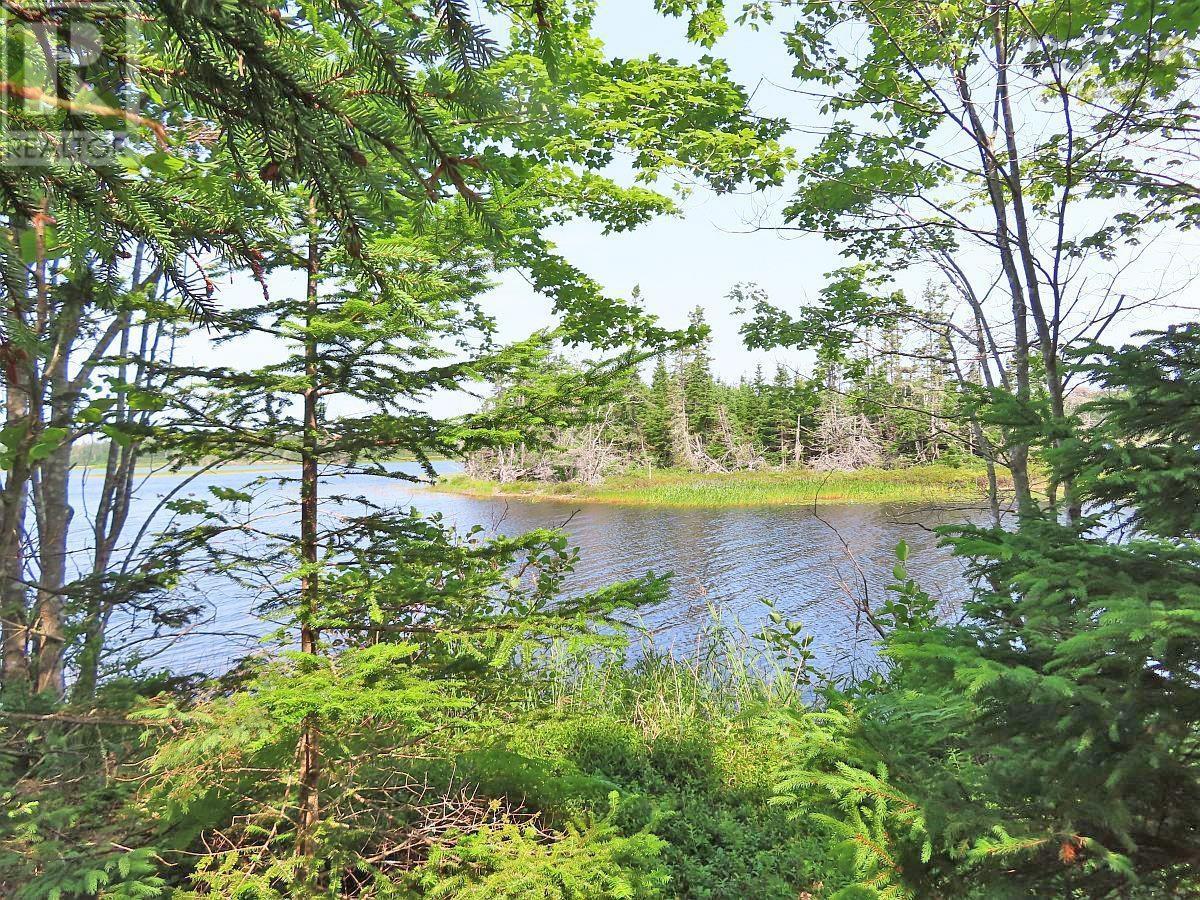 Middle Road, Pondville, Nova Scotia  B0E 1K0 - Photo 28 - 202402690