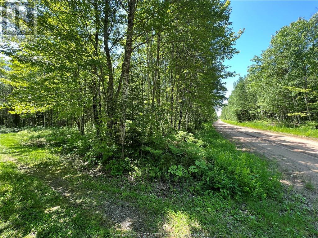 Lot 5 Buckley Rd, Harewood, New Brunswick  E4Z 3K7 - Photo 31 - M149720