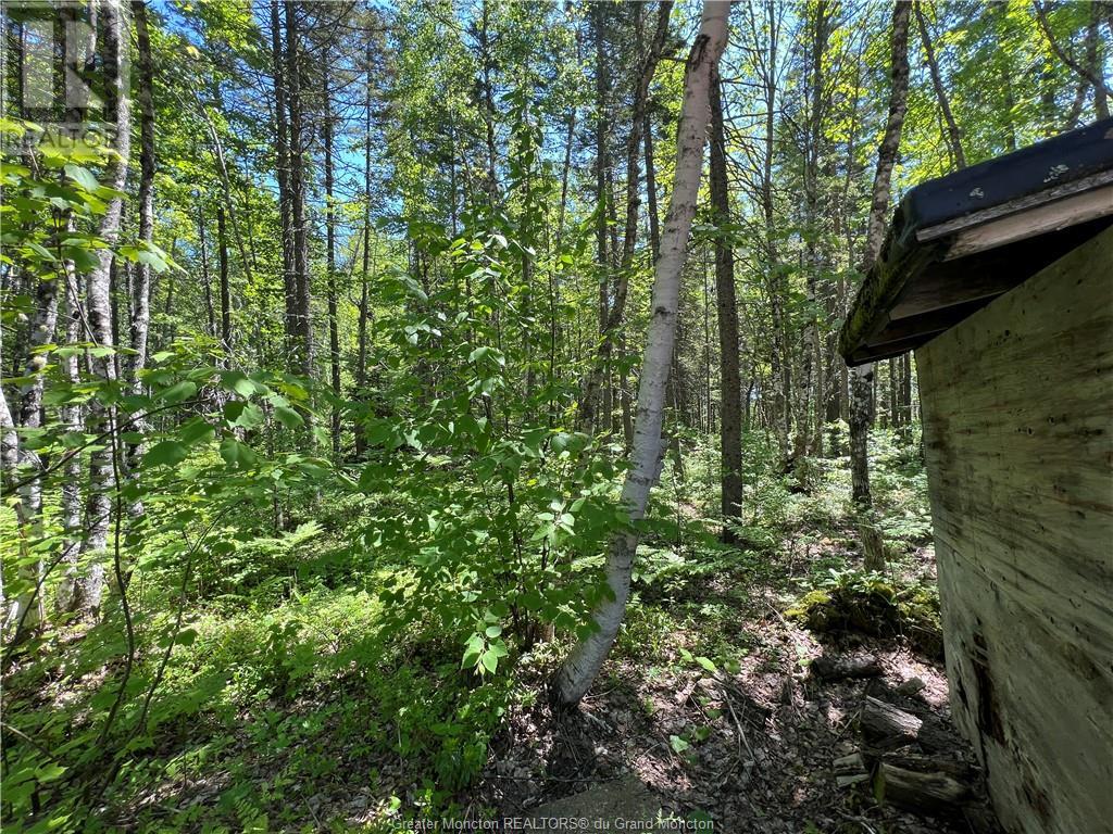 Lot 5 Buckley Rd, Harewood, New Brunswick  E4Z 3K7 - Photo 33 - M149720