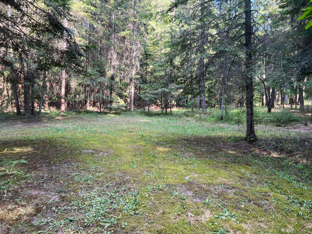 Lot 1 Highway 3a, Nelson, British Columbia  V1L 6R9 - Photo 51 - 2474961