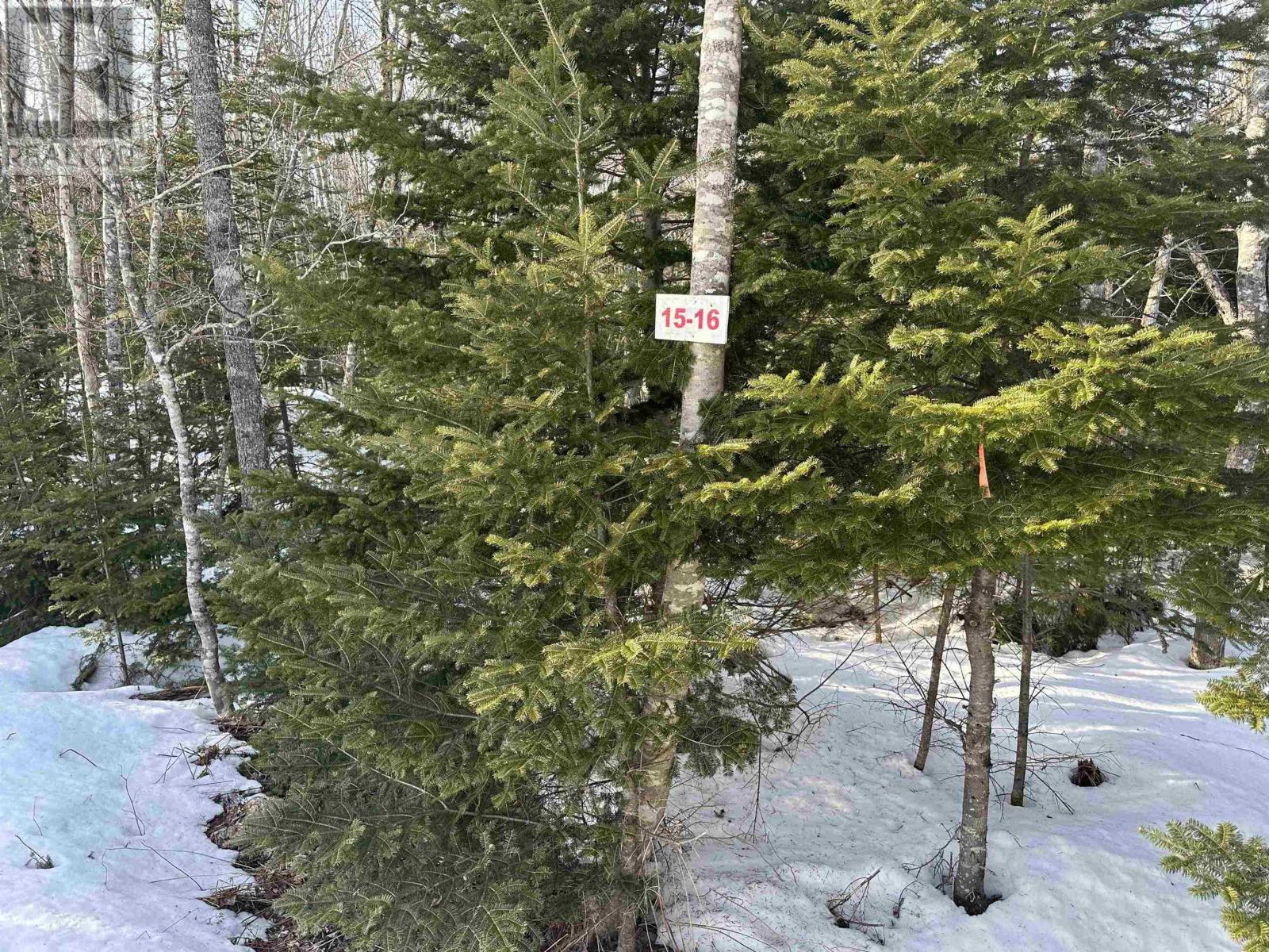 Lot 15 Golden Shore Lane, West Bay Marshes, Nova Scotia  B0E 1J0 - Photo 1 - 202402792