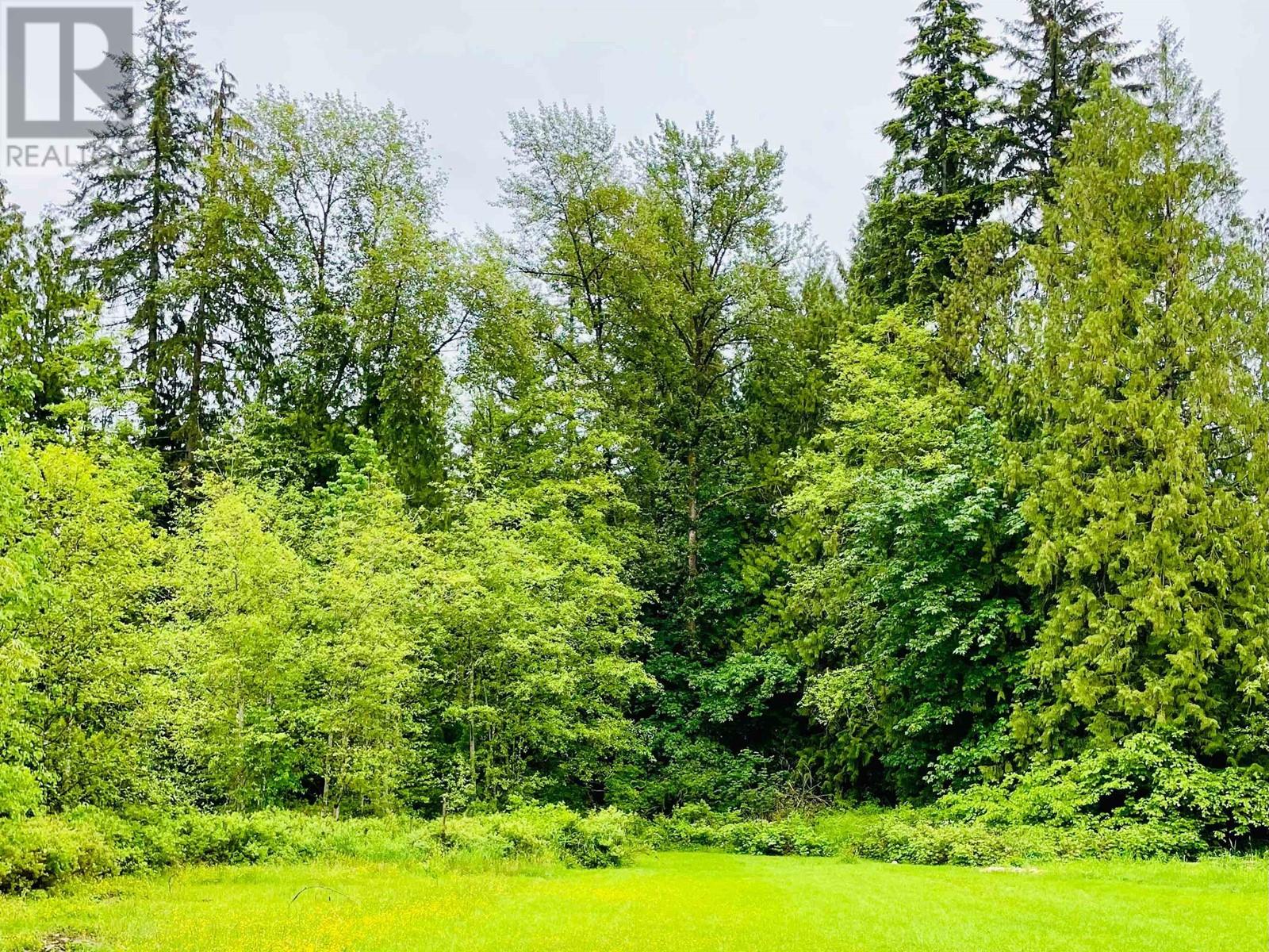 12306 252 Street, Maple Ridge, British Columbia  V4R 1G6 - Photo 6 - R2849567