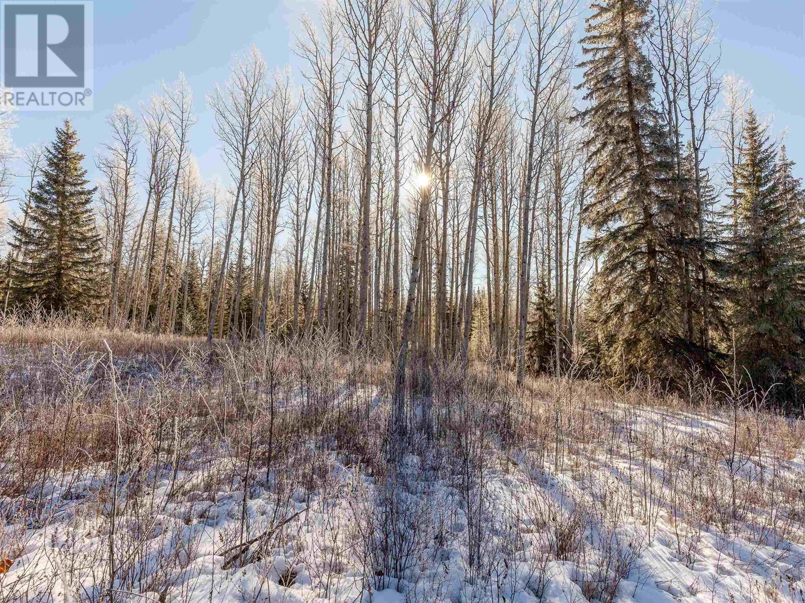 Lot A Yelich Road, Smithers, British Columbia  V0J 2N2 - Photo 4 - R2849908