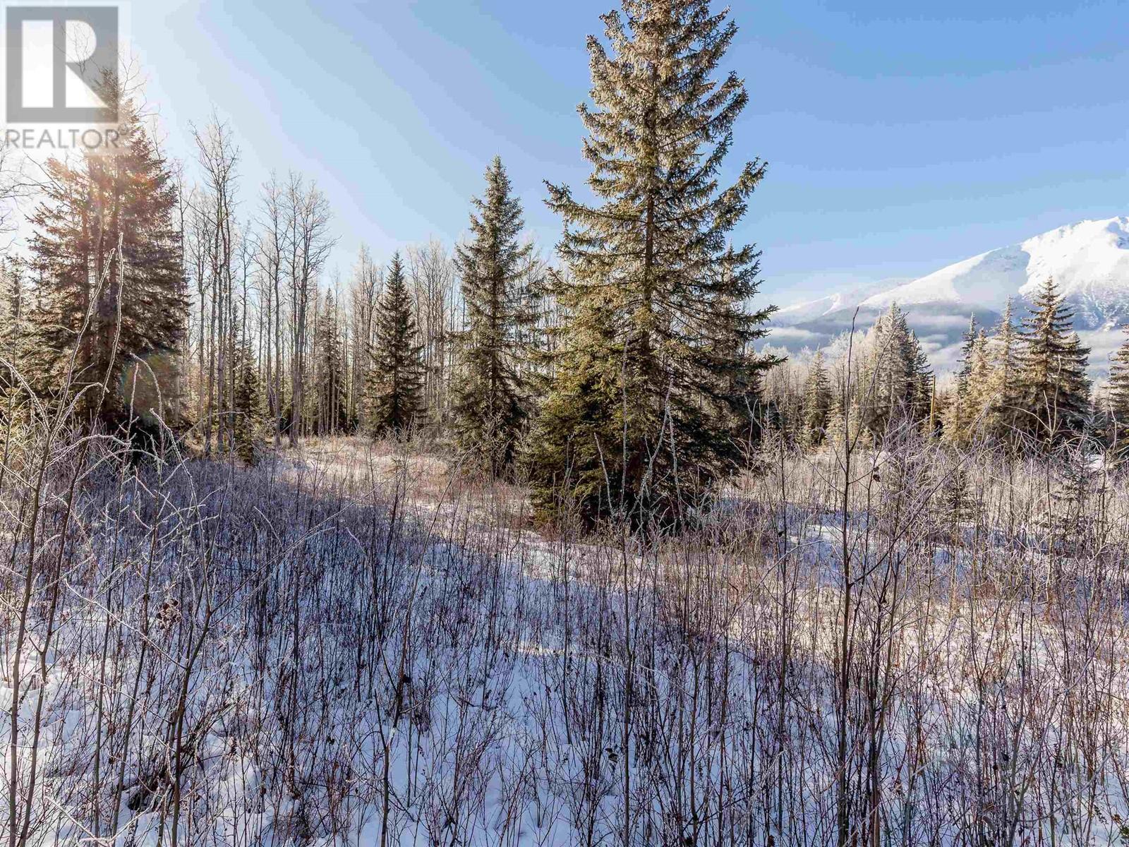 Lot A Yelich Road, Smithers, British Columbia  V0J 2N2 - Photo 6 - R2849908