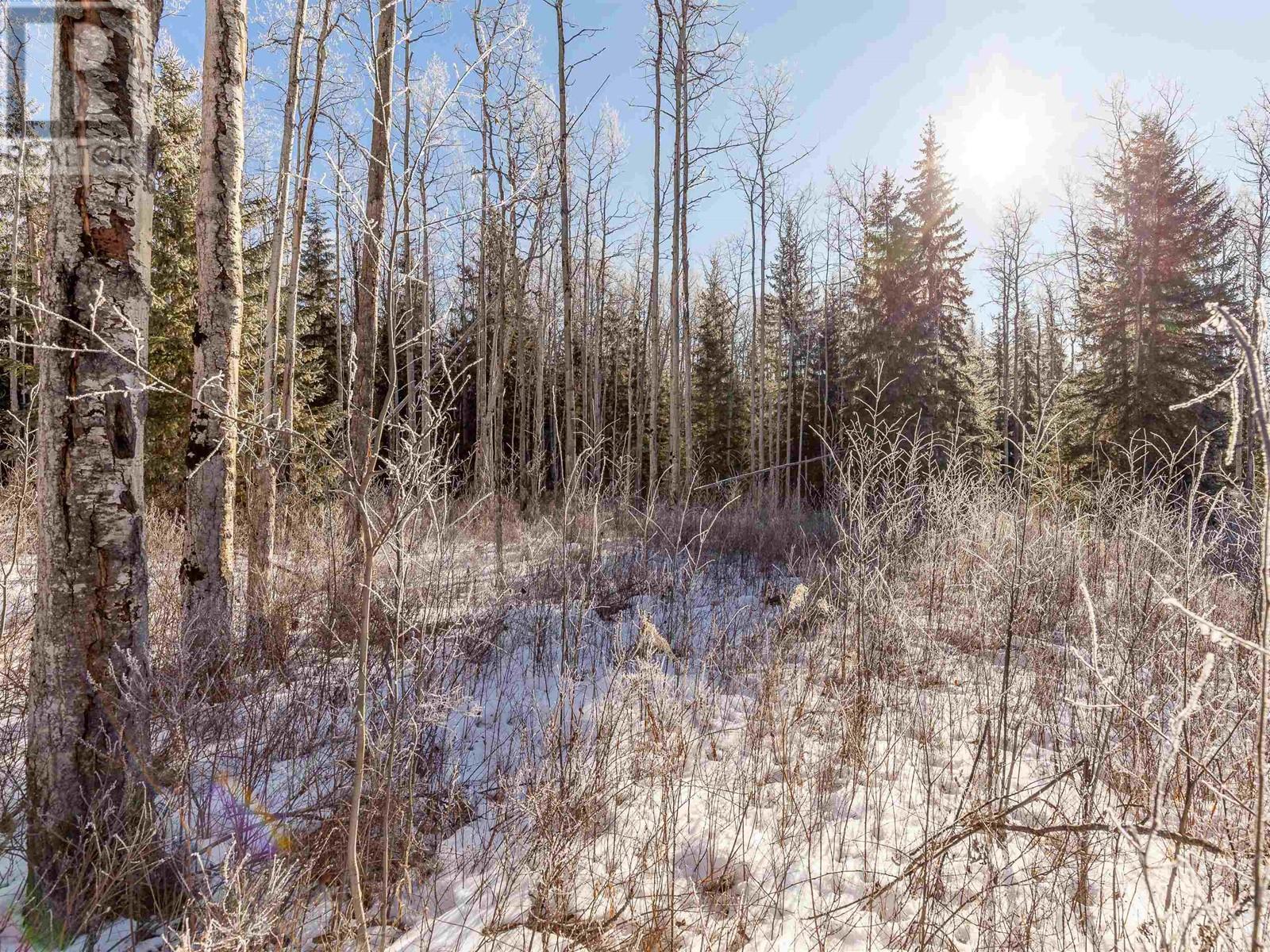 Lot A Yelich Road, Smithers, British Columbia  V0J 2N2 - Photo 5 - R2849908