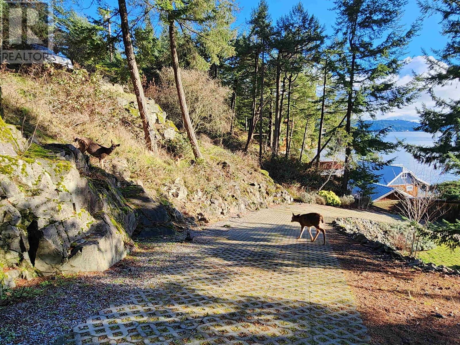 295 Robert Road, Bowen Island, British Columbia  V0N 1G1 - Photo 34 - R2850179