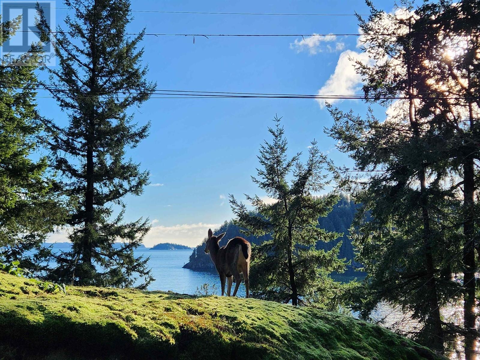 295 Robert Road, Bowen Island, British Columbia  V0N 1G1 - Photo 37 - R2850179