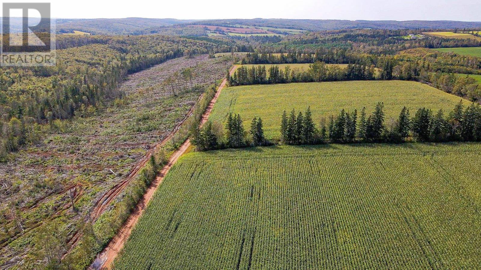 St Patricks Road, Route 266, New Glasgow, Prince Edward Island  C0A 1N0 - Photo 10 - 202320176