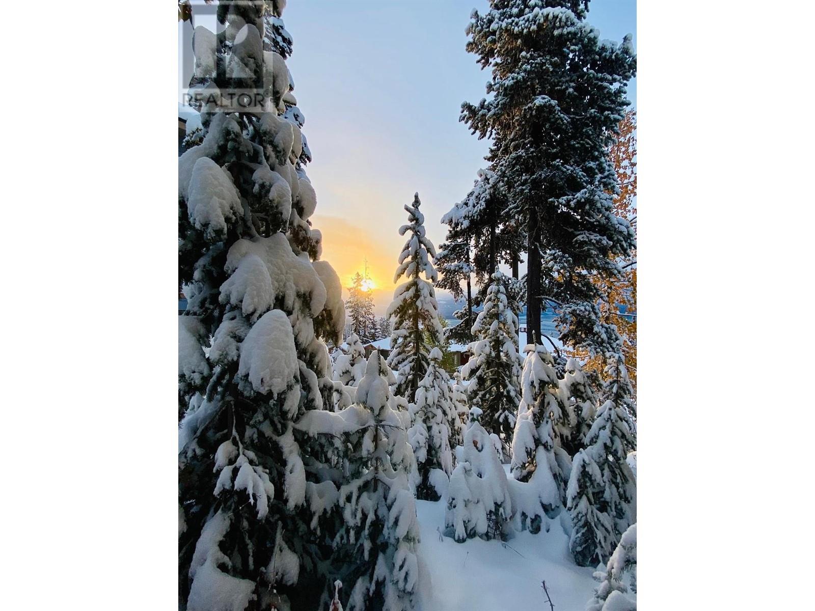 4849 Snow Pine Road Unit# A, Big White, British Columbia  V1Y 4K3 - Photo 3 - 10304513